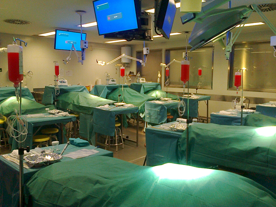 donacion de cuerpo a la ciencia